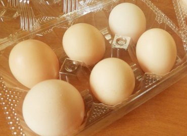 都立高校のうこっけい卵、お茶、ナス、梨のセット