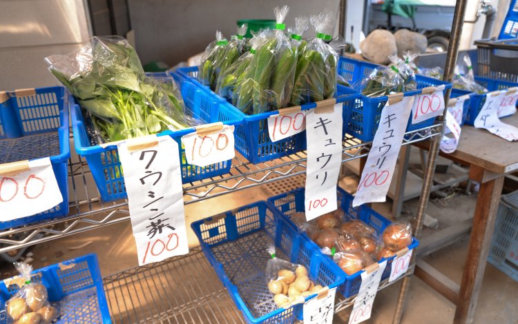 農地の多面的活用