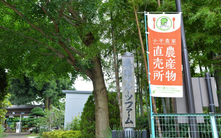 東京での農業