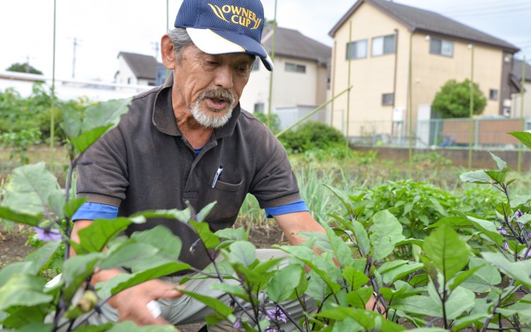 地元の野菜を地元の方々に