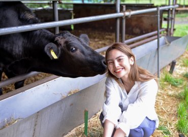 希少な東京育ちの牛肉「東京ビーフ」