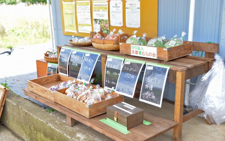 新事業「ファームパーク夢畑」に携わり