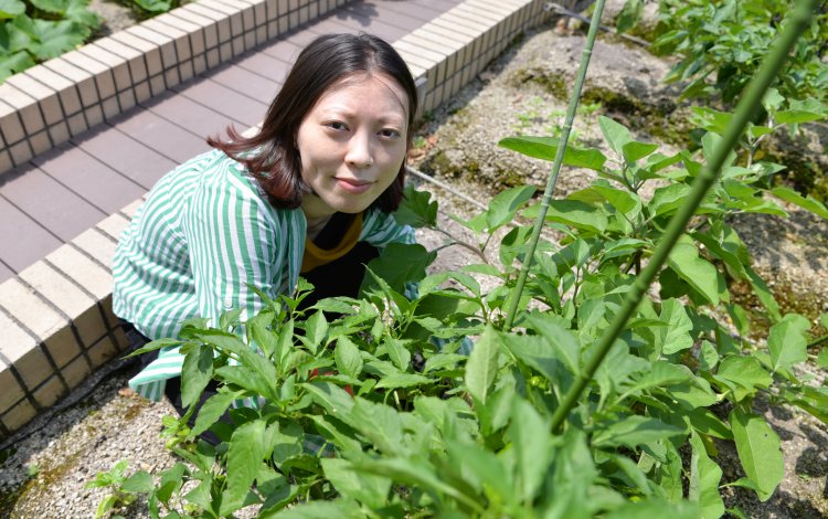 手ぶらで畑体験！　都心で気軽に土いじり
