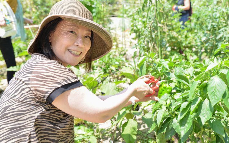 屋上菜園には珍しい40cmの深さがある土