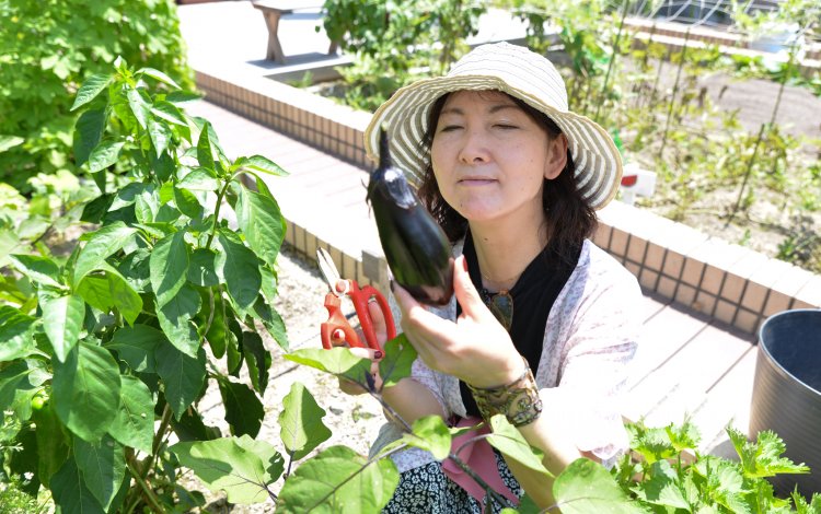 屋上菜園には珍しい40cmの深さがある土