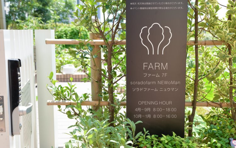 新宿駅の上にしっかりとした菜園が！