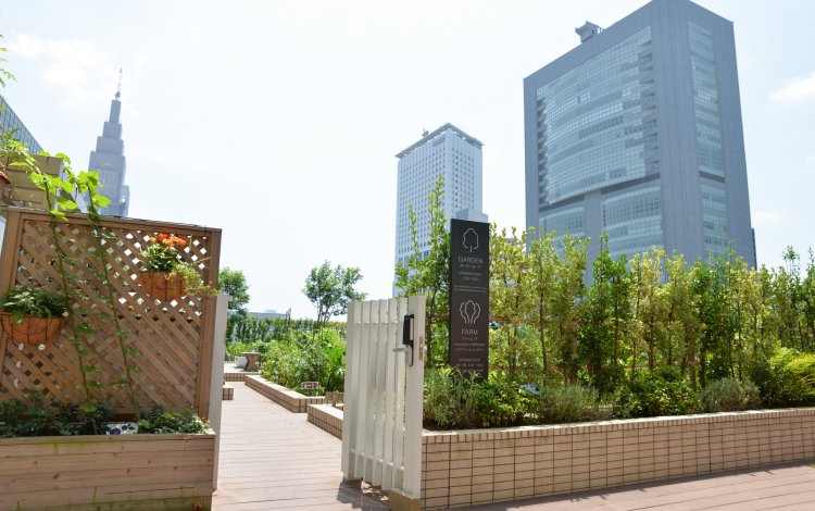 新宿駅の上にしっかりとした菜園が！