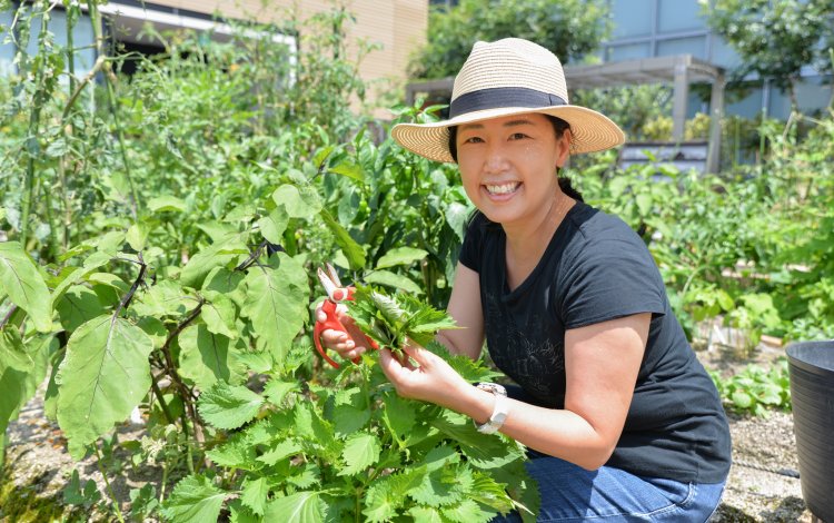 屋上菜園には珍しい40cmの深さがある土