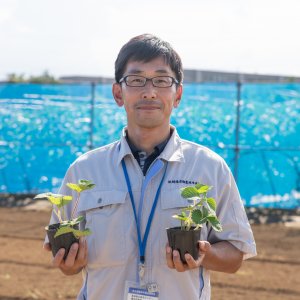 日光をたっぷり浴びて真っ赤に育った東京生まれのいちご“東京おひさまベリー” List Image