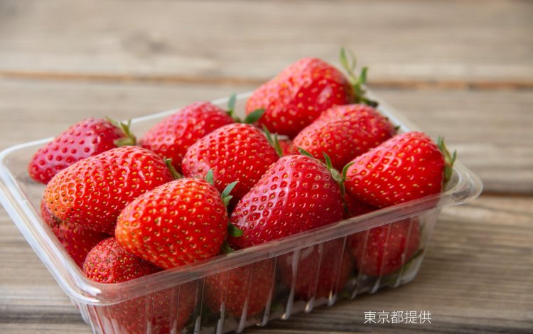 開発期間は20年！？