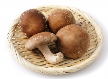 秋を先取り! 都内産キノコセット!
