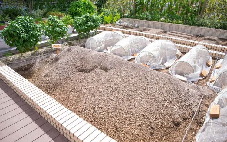 土づくりのコツってどんなこと？