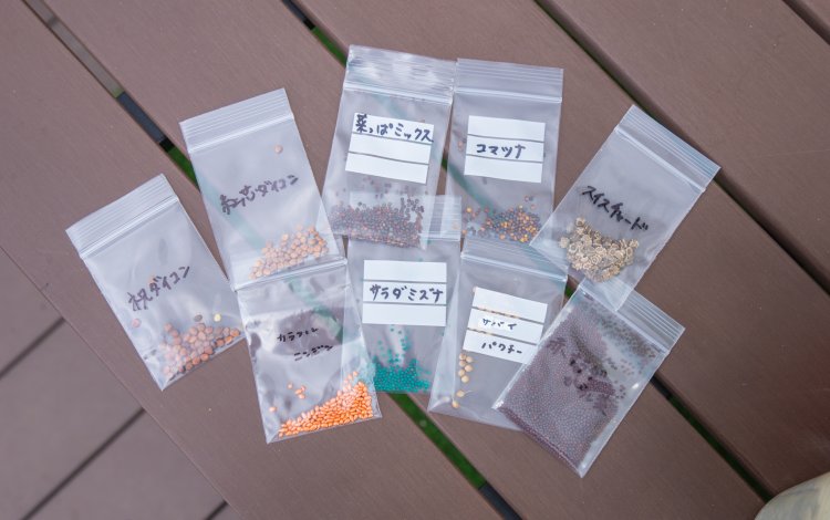 苗の植え付けと種まきはワクワクする作業！