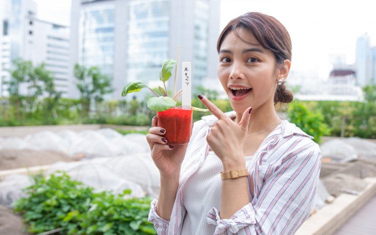 苗の植え付けと種まきはワクワクする作業！