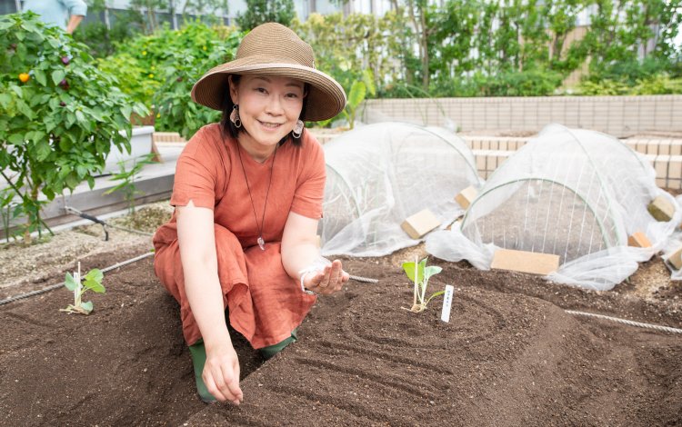 苗を植える時のポイントってどんなこと？