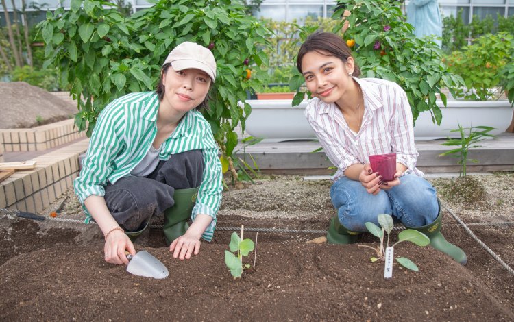 苗を植える時のポイントってどんなこと？