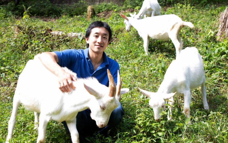 牛でも羊でもなくヤギになった理由