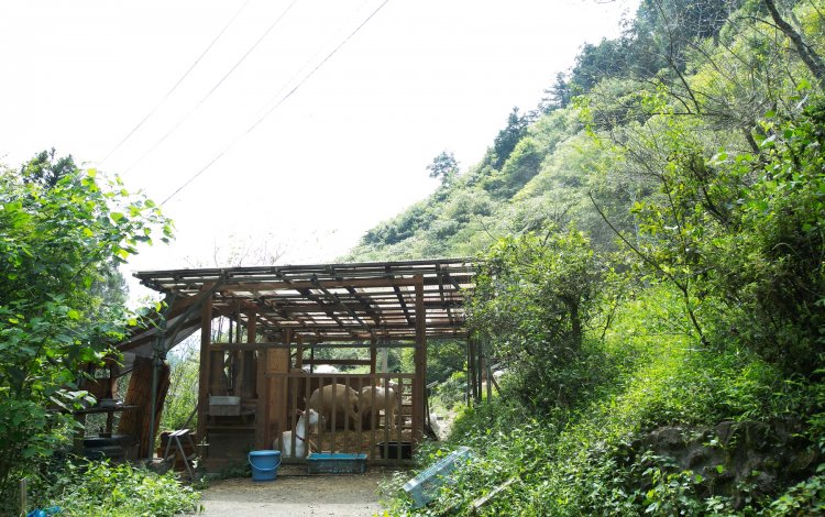 地元だからこそ地域へも溶け込みやすかった