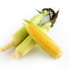 トウモロコシ List Image