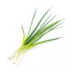 拝島ネギ List Image