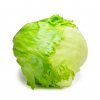 レタス List Image