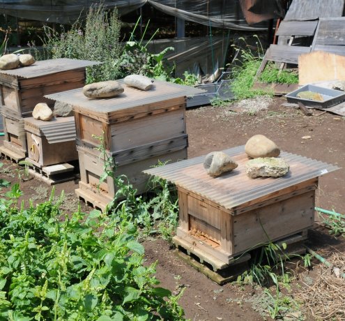 家族経営で未来へ！