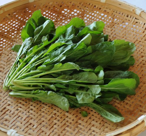 東京オリンピック・パラリンピックに向けて