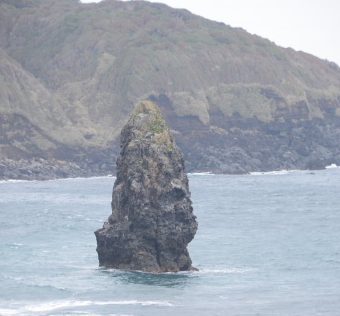 新ターミナル建設中！