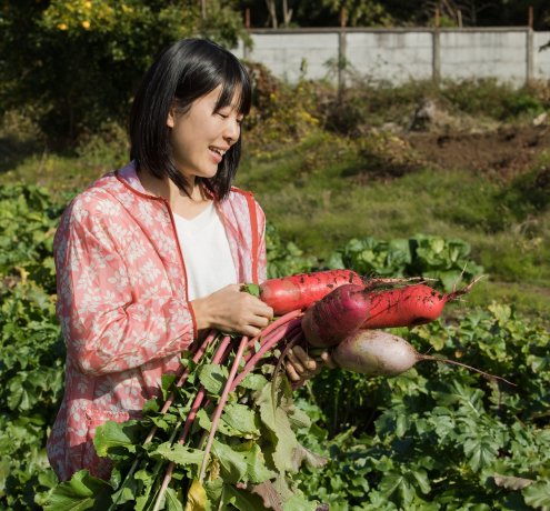 野菜を育てるのがとにかく好き