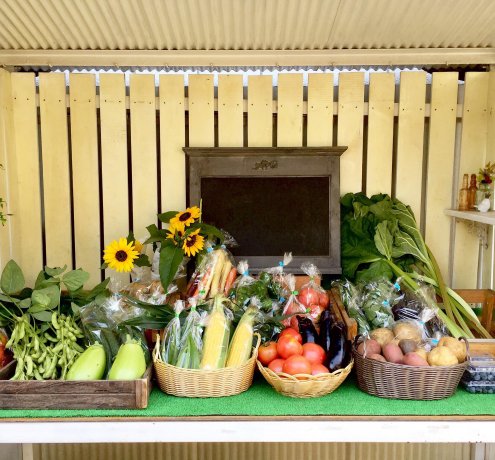 チャレンジ農業支援事業を活用