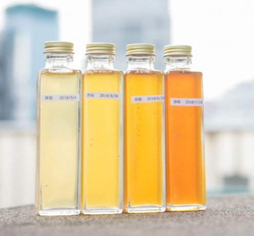 原宿でハチミツ作り