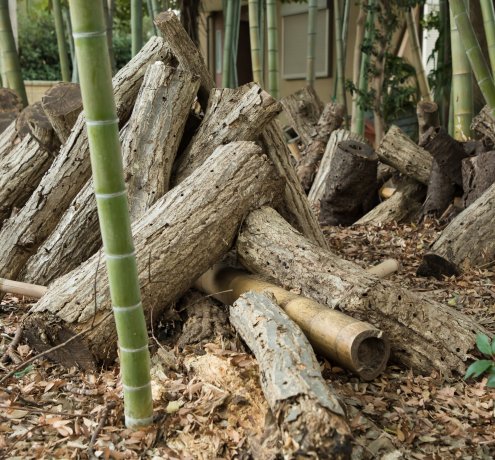 畑でワークショップ開催