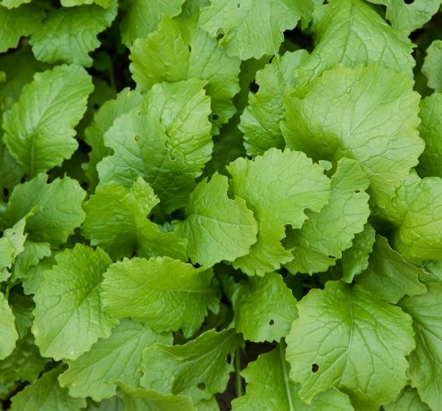 体験することで知ってほしい