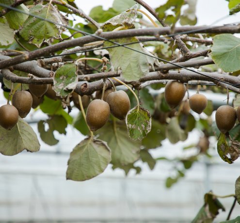 体験することで知ってほしい
