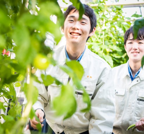 取り組みは次のステージへ