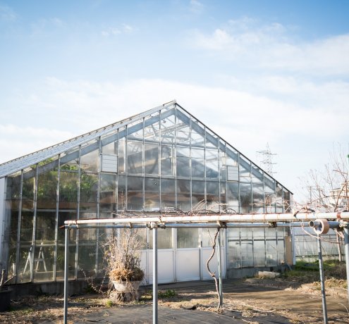 取り組みは次のステージへ