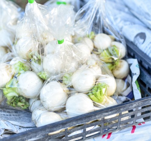 都立農業高等学校直売所！