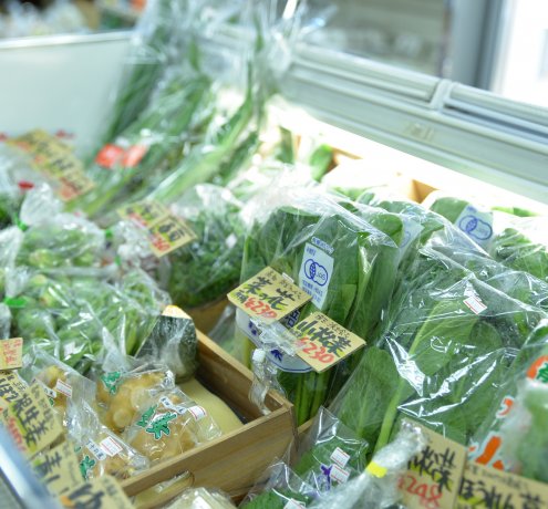 ここで買える！