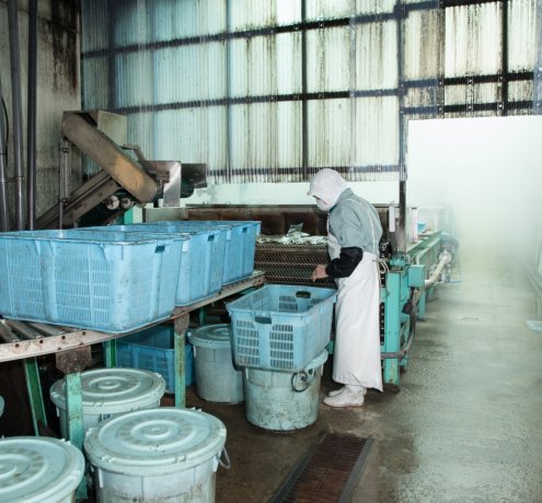 いろいろな工程を経て商品に