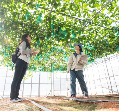 小笠原だからこそできる研究は、自信になるしチャンスでもある