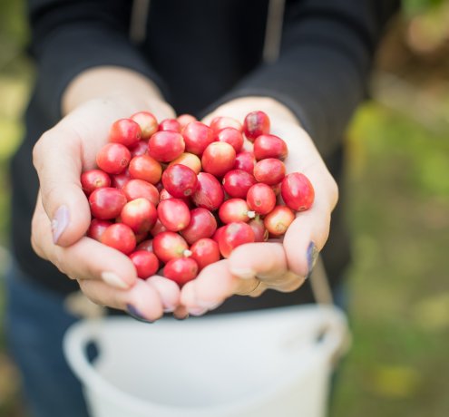「島での滞在が長引いたのは、神様の采配」