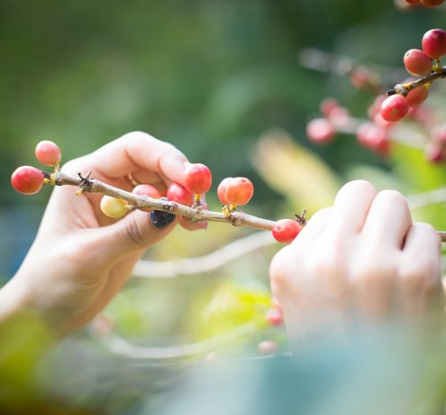 「島での滞在が長引いたのは、神様の采配」