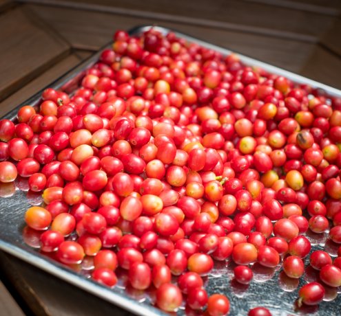 日本人が忘れてしまった大切なものに気づいてほしい