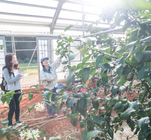 亜熱帯の雰囲気たっぷり！一般見学者コース