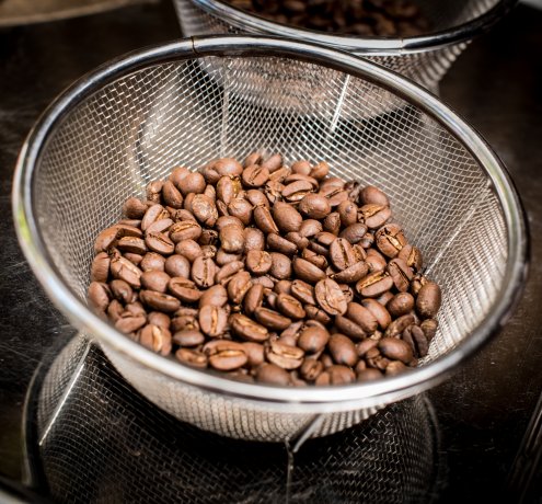 1杯分のコーヒーの実を収穫するのは大変