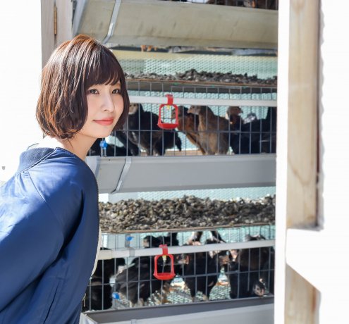 江戸から続く伝統の味を求めて