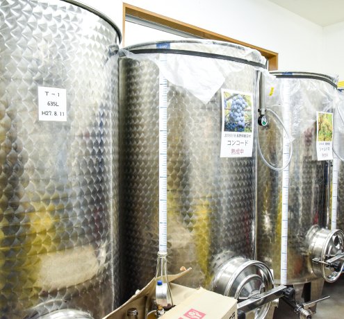 ぶどう作りから関わる楽しさ