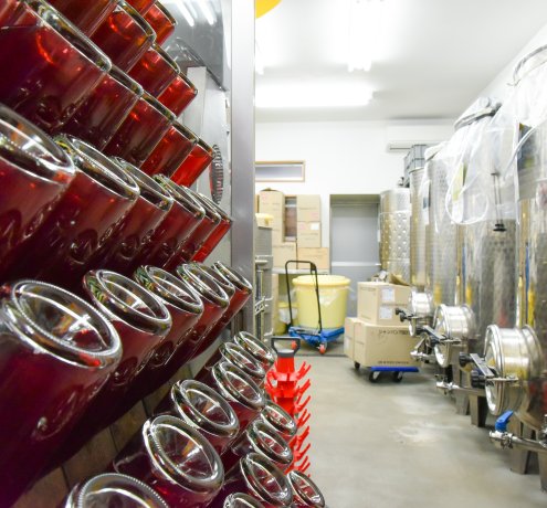 ぶどう作りから関わる楽しさ