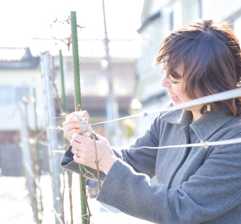 東京の農産物で何ができるのか