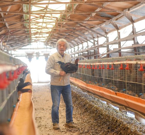 しゃもを育てるのに適した土地